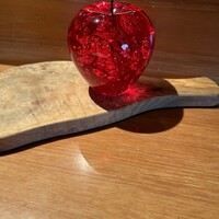 インカメラ コン テラッツァ - 