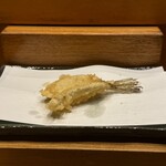 日本橋天ぷら魚新 - 