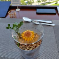 イリエスケープ - 