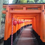 京都伏見蔵 先斗町 南庵 - 