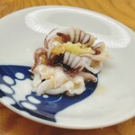 鮨おばな - 出水の新イカ