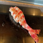 紀文寿司 - 車海老