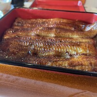 鰻割烹 伊豆栄 本店 -  鰻割烹 伊豆栄 本店 -