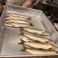 新ばし 笹田 - 