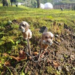 グランピングリゾート ブリリアントヴィレッジ日光 - 