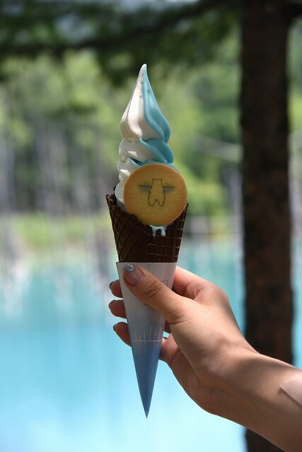 青い池 売店 - 美瑛町その他（その他）の写真