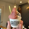 gelateria gattino