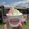 JAPANESE GELATERIA ASANOHA