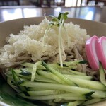 手打ちそば 新 - 料理写真:冷やしたぬき蕎麦