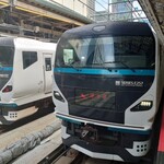 別邸 洛邑 - 特急踊り子で伊豆急下田まで東京から２時間40分