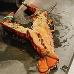 ベルソーニョ - 