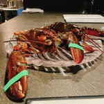 ベルソーニョ - 