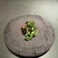 YANAGI TePPaN UNBORN GASTRONOMY - 