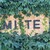 Miite Cafe - その他写真:看板