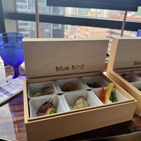 渋谷 Blue bird - 