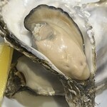 ビストロ ティアボ - 