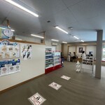 ドルフィン・テイル - 