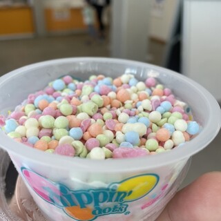 ドルフィン・テイル_1