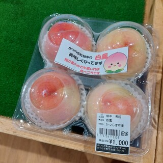 かつらぎ町商工会アンテナショップ_0