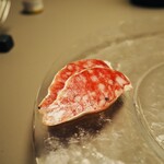 サルメリアロッキュー - 