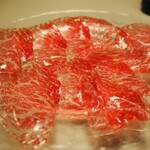 サルメリアロッキュー - 