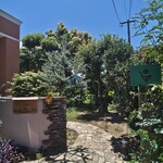 おれんじの樹 - 