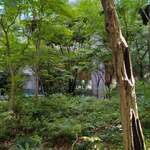 南インド料理ダクシン - 