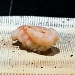 鮨 西崎 - ■甘海老の昆布〆
      しっかりと水分を抜いてあるとのことで、甘海老のあのべちゃっとした感じが皆無！
      身の締まりと共に、甘さと旨味の凝縮感が増していて、これも本当に美味しい♪