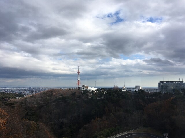 八木山ベニーランド コーヒーカップ前店 - 八木山動物公園（ソフトクリーム）の写真