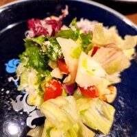 biodinamico - 