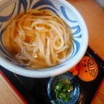 おうどん 瀬戸晴れ - かけうどん(小)