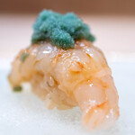 うを徳 - 2024.7 羽幌産ボタン海老