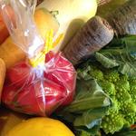 パプリカ食堂 Vegan - 有機野菜
