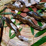 光琳 - 鮎の塩焼き