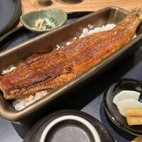 うなぎ四代目菊川 神戸三宮店 - 