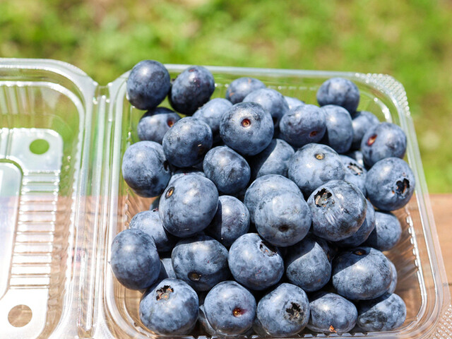 蔵王ブルーベリー農園 レストハウス｜蔵王町のカフェ