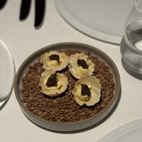 ヴォーロ・コズィ - 