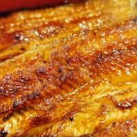 鰻 若松 - 