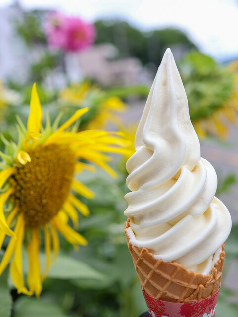 はせがわ屋 蔵王町遠刈田温泉 &ndash; 地元の味わい