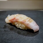 島津 - シブダイ