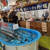 函館朝市 駅二市場 活いか釣り広場