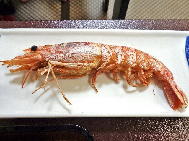 たまや旅館 - 蔵王町その他（料理旅館）の写真