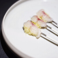 セルサルサーレ - 