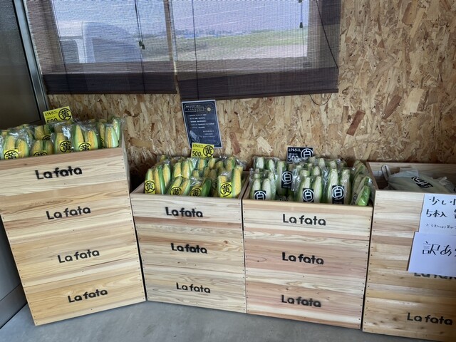 美食農園 ラ・ファータ 2nd 北釜ハウス（La fata） - 仙台空港（その他）の写真