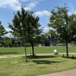 スターバックスコーヒー - 