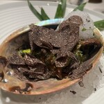 ジョンティ アッシュ - 