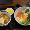 練り込みうどん「権」