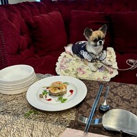 ル レーヴ ドゥ ティム - これもわんちゃんのコース料理