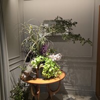 リストランテ 濱崎  - 