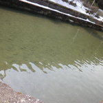 Yamano Michi Mizusawa - 釣り堀があります